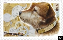 The Owney 'forever' stamp. It may even outlast the Postal Service’s favorite dog.