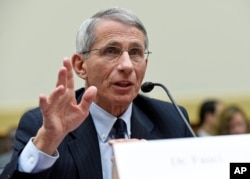 FILE - Dr. Anthony Fauci testifies before the House Foreign Affairs subcommittee on Africa, Global Health, Global Human Rights, and International Organizations.