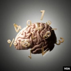 Menurut tim yang dipimpin Cohen Kadosh, terapi listrik mengubah unsur kimia otak sehingga membuat otak lebih mudah beradaptasi, dan sebagai akibatnya, lebih mudah memroses angka.