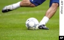 South Africa Tourism Boost Adds to World Cup Enthusiasm