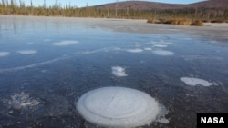 Methane bubbles up from the thawed permafrost at the bottom of the thermokarst lake through the ice at its surface. (Katey Walter Anthony/ University of Alaska Fairbanks)