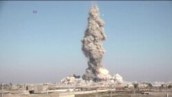 Terror Groups Adapt to Survive