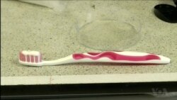 Biodegradable Microplastics Could Help Ocean Health