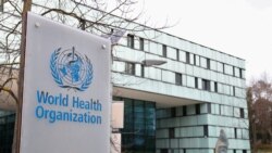 Trump Freezing Aid To World Health Organization