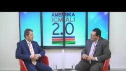 Ələsgər Məmmədli: İnformasiyanın psixoloji təhlükəliliyini qanun tənzimləyə bilməz