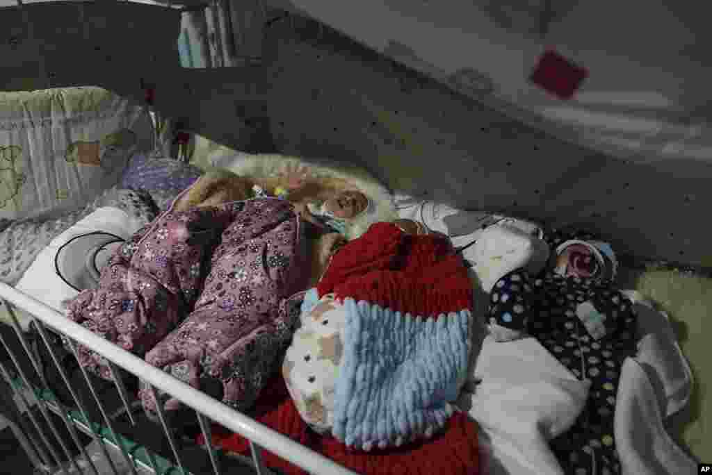 Premature babies who were left behind by their parents lay in a bed in hospital number 3 in Mariupol, March 15, 2022.