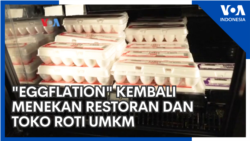 &quot;Eggflation&quot; Kembali Menekan Restoran dan Toko Roti UMKM