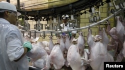 Latin workers in factory