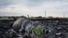 Flowers are placed on a plane engine at the crash site of a Malaysia Airlines jet near the village of Hrabove, eastern Ukraine, July 19, 2014.