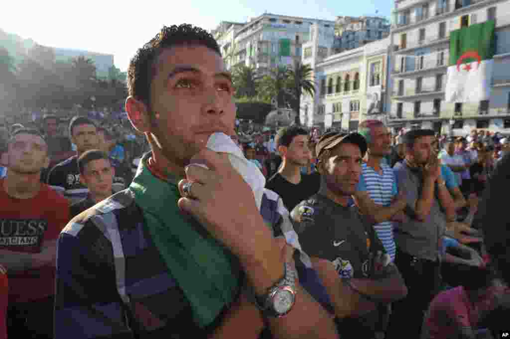 Algerian soccer fans watch their team&#39;s World Cup soccer match with Belgium on a large screen, in Algiers, June 17, 2014.