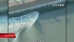 Động đất ở Nhật, sóng thần ập vào bờ biển Fukushima