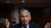Fauci to Discuss Coronavirus Pandemic with Biden Transition Team