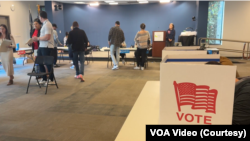 Голосування на виборчій дільниці в Арлінгтоні, штат Вірджинія, 5 листопада 2024 р.