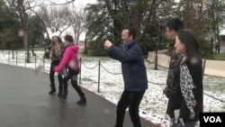 Các du khách tới Washington D.C. hi vọng có thể ngắm được hoa anh đào nở.