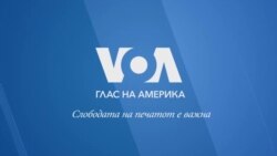 Пудуси - едни од најмалите видови елени во светот