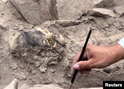 مومیایی ۳ هزار ساله. لیما، پرو - ۲۴ خرداد ۱۴۰۲