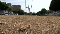 Scientists Predict Wet Winter in Drought-Stricken US West