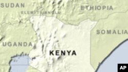 Kenya Warned of Future Poll Violence