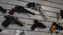 Gun violence victims, gun owners assess Harris, Trump election promises