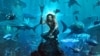 'Aquaman' Masih Unggul, Film Lain Juga Laris