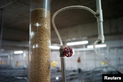 FILE - Part of an automatic feeding system is seen inside a pig farm in Guangxi province, China, March 21, 2018.