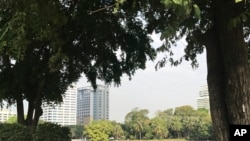 រូបឯកសារ៖ ទិដ្ឋភាព​ឧទ្យាន​មួយ​ក្នុង​ទីក្រុង​ បាងកក ប្រទេស​ថៃ ថ្ងៃ​ទី​២ ខែកុម្ភៈ ឆ្នាំ​២០១៧។