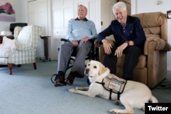 FILE - Former Republican President George H.W. Bush, left, and former President Bill Clinton, visiting Bush, pose for a photo with Sully, a yellow Labrador retriever who'll be Bush's first service dog at his home in Kennebunkport, Maine, June 25, 2018.