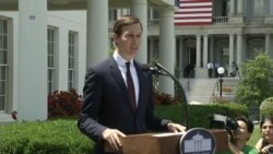 Kushner: 'I Did Not Collude With Russia'