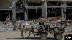 Warga Palestina menggunakan kereta keledai untuk mengangkut barang-barang di Jalur Gaza utara pada 21 Maret 2024. (Foto: AFP)