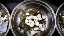 FILE - In this March 13, 2020 photo, bowls containing prescriptions for traditional Chinese medicine preparations are stacked on a counter at the Bo Ai Tang traditional Chinese medicine clinic in Beijing.