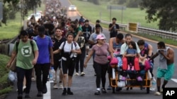 FILE - Migrants walk along the Huixtla highway in the state of Chiapas, Mexico, Oct. 22, 2024, hoping to reach the country's northern border and ultimately the United States.