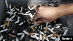 Seorang perokok mematikan rokok di asbak yang penuh dengan puntung rokok di Las Pinas, Metro Manila, 7 Agustus 2015. 