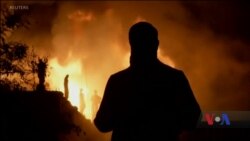 У Ріо-де-Жанейро згоріла найстаріша наукова інституція країни. Відео