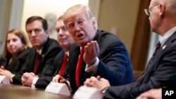 President Donald Trump speaks during a meeting with steel and aluminum executives in the Cabinet Room of the White House, March 1, 2018, in Washington. (AP Photo/Evan Vucci) 