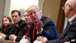 FILE - President Donald Trump speaks during a meeting with steel and aluminum executives in the Cabinet Room of the White House, March 1, 2018, in Washington. From left, Beth Ludwig of AK Steel, Roger Newport of AK Steel, John Ferriola of Nucor, Trump, and Dave 