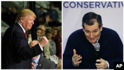 Republican presidential candidate Donald Trump, left, pumps his fist as supporters cheer in Little Rock, Ark., while rival candidate Senator Ted Cruz speaks at a town hall campaign event in Henniker, N.H., Feb. 3, 2016.