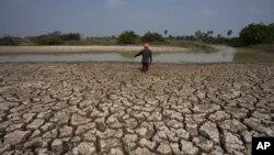 រូបឯកសារ៖ បុរស​ម្នាក់​ដើរ​ចាប់​ត្រី​ក្នុង​ភក់​បាត​ព្រែក​ក្នុង​រដូវប្រាំង នៅ​ជាយ​រាជធានី​ភ្នំពេញ ប្រទេស​កម្ពុជា ថ្ងៃ​សៅរ៍ ទី១១ ខែ​មីនា ឆ្នាំ​២០២៣។