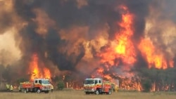 Australia Burning