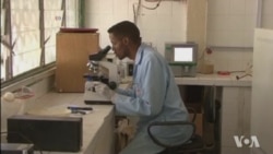 Stigma, Fear and Ignorance Keep AIDS Epidemic Going