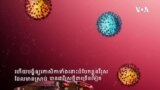 ក្រាហ្វ្រិក​ពន្យល់៖ ការ​បំលែង​ខ្លួន​របស់​វីរុសកូរ៉ូណា​ធ្វើឲ្យ​អ្នក​វិទ្យាសាស្ត្រ​ព្រួយ​បារម្ភ