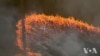 Firefighters Scramble to Contain Wildfire Near Sydney