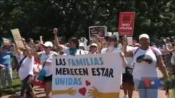 Протести проти імміграційної політики адміністрації Трампа пройшли вихідними. Відео