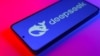手機上的DeepSeek標識。
