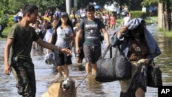 A soldier offers to take care of an evacuee's dog during an evacuation at Nawa Nakhon industrial estate on the outskirts of Bangkok, Thailand, October 18, 2011.