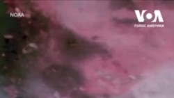 Лісові пожежі на заході США видно із космосу. Відео