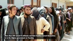 More Than 240 IS Militants Surrender to Afghan Government Forces