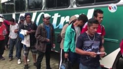 Salvadoreños y el peligro de regresar