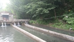 Formation sur les techniques de commercialisation du poisson