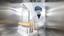 位于云南昆明的中国华大基因集团实验室的科技人员在工作。（2018年12月26日）