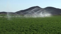 สุดยอดถั่วเหลืองกอบกู้โลก